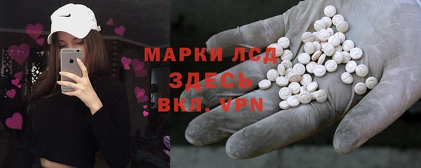 прущие грибы Покровск