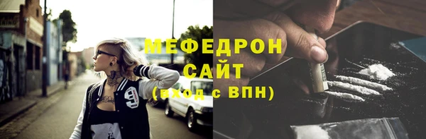СК Алексин