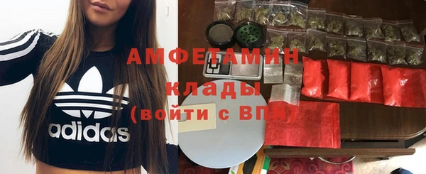 винт Абаза