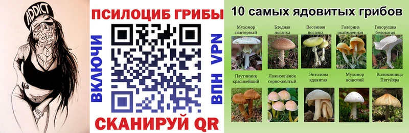 Псилоцибиновые грибы ЛСД  Кудымкар 